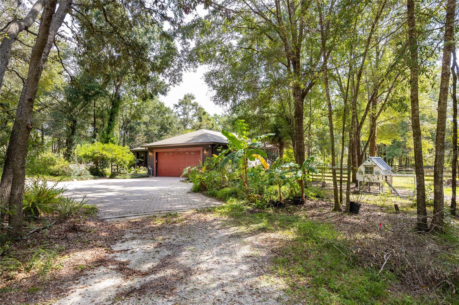 Driveway /Front of Home