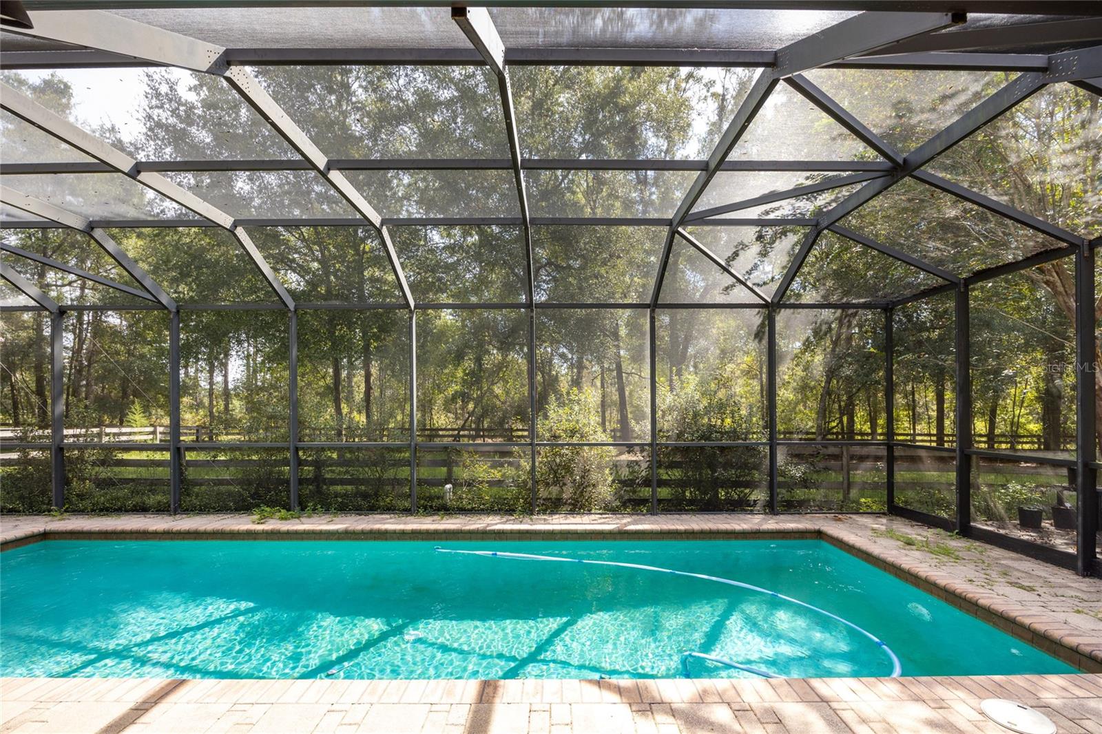 Pool / Back Patio