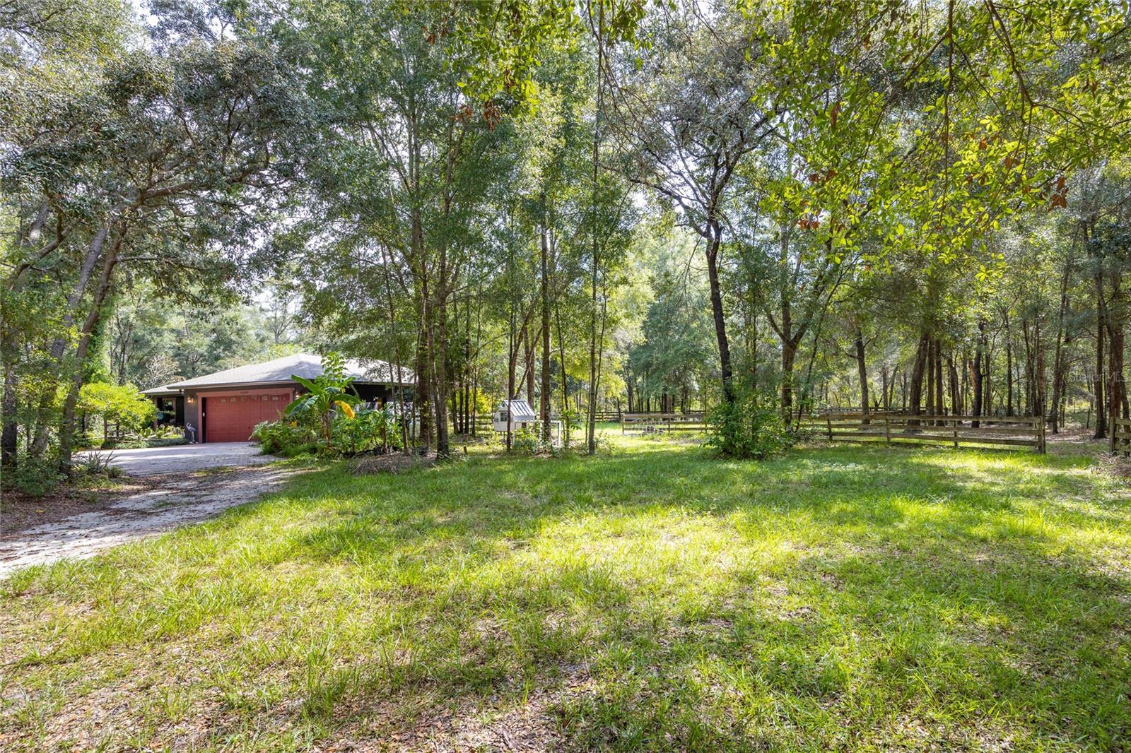 Yard, Chicken Coop, and Home