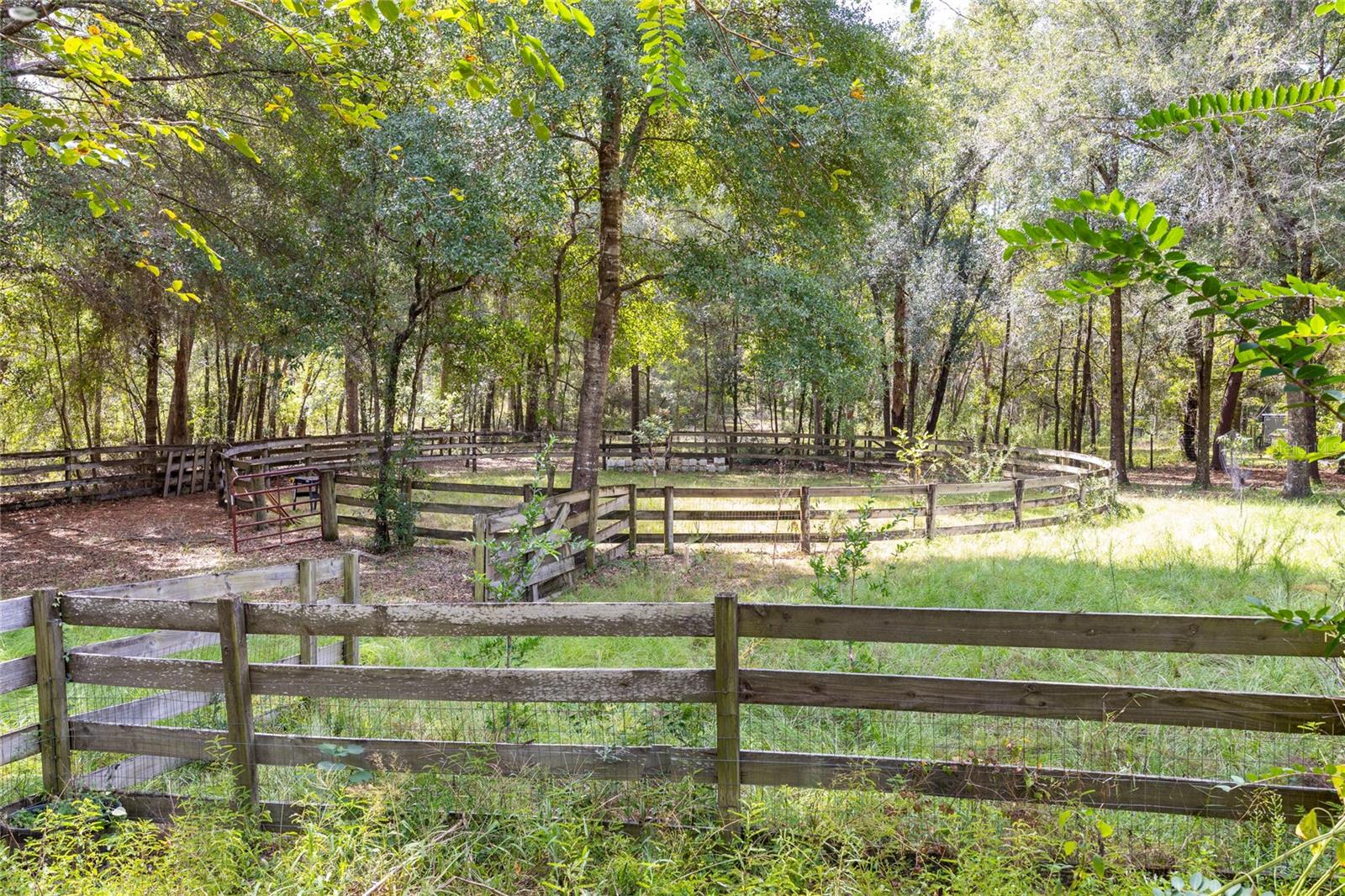 Horse Round Pen
