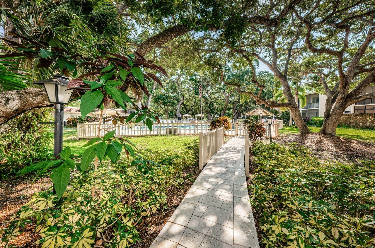 community pool path