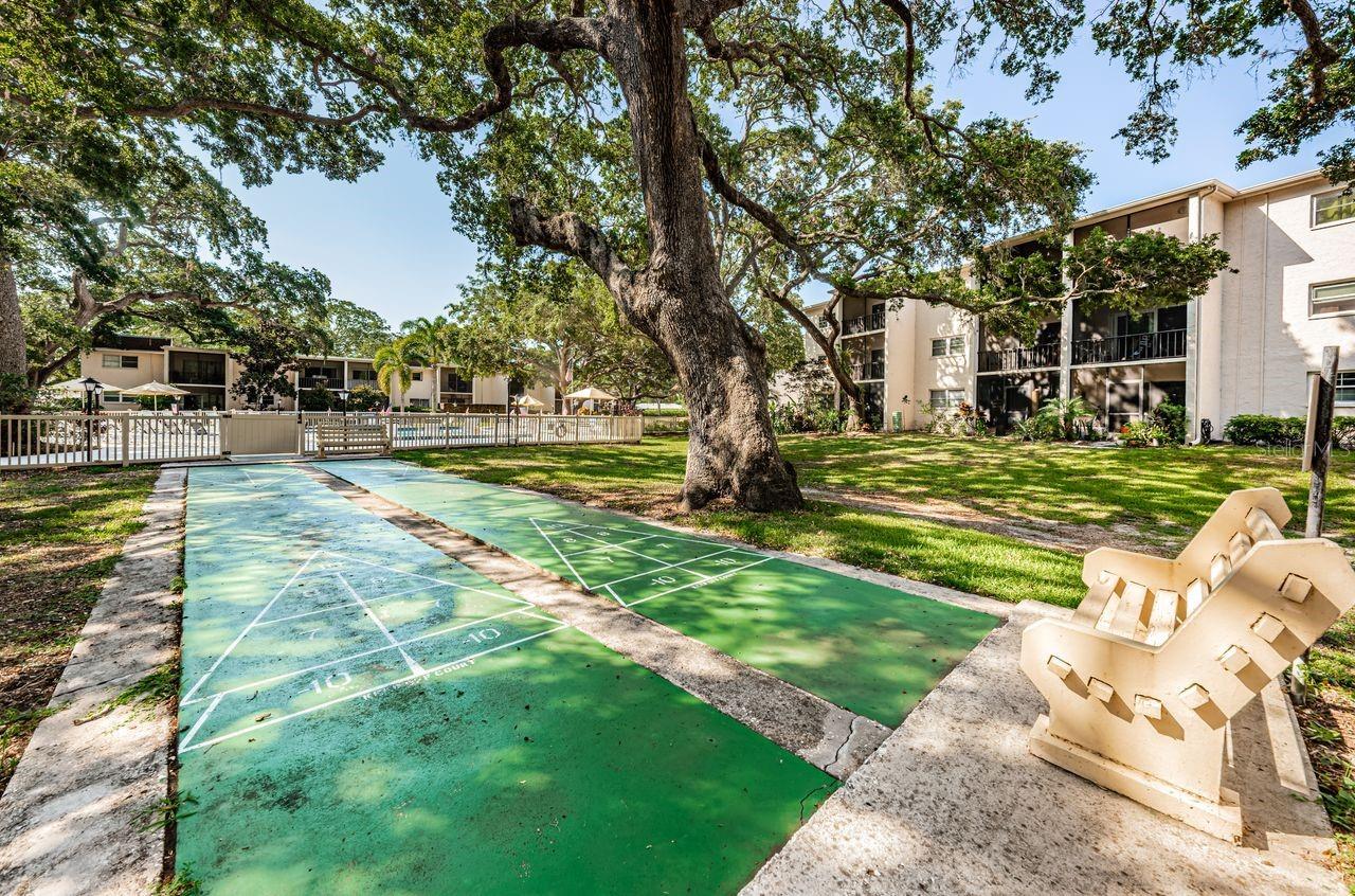 community shuffleboard