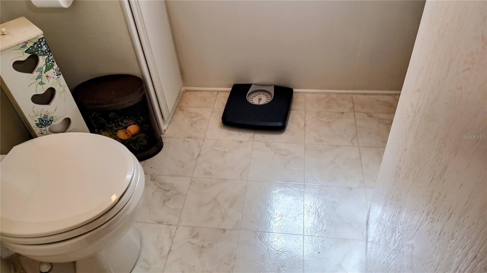 separate toilet and shower area in primary bath