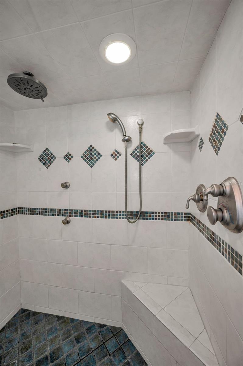 Primary Shower