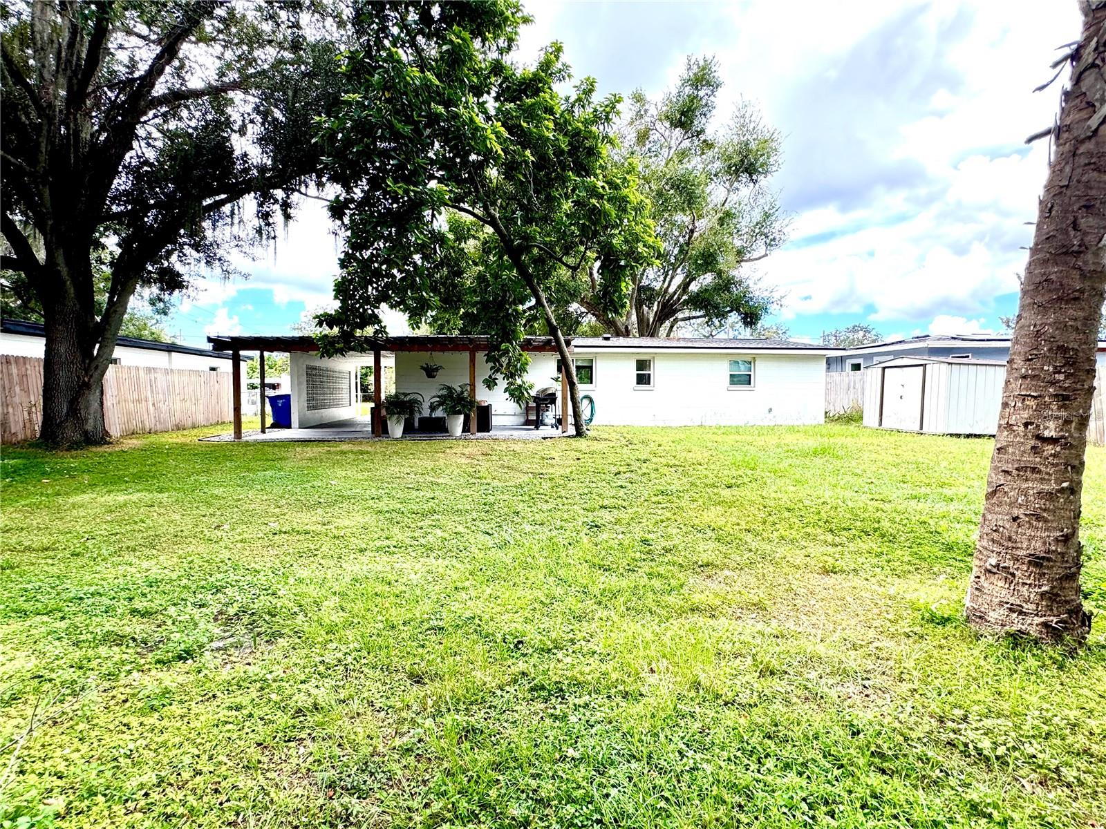 back yard