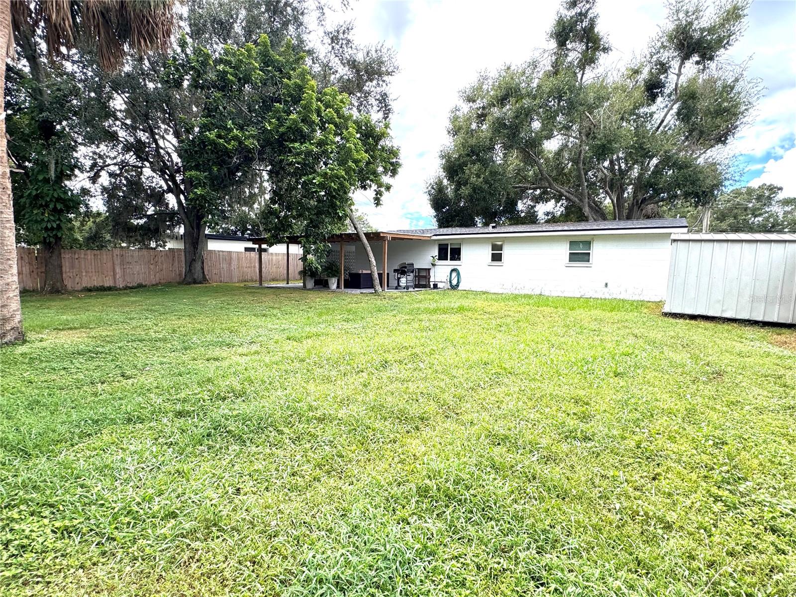 back yard