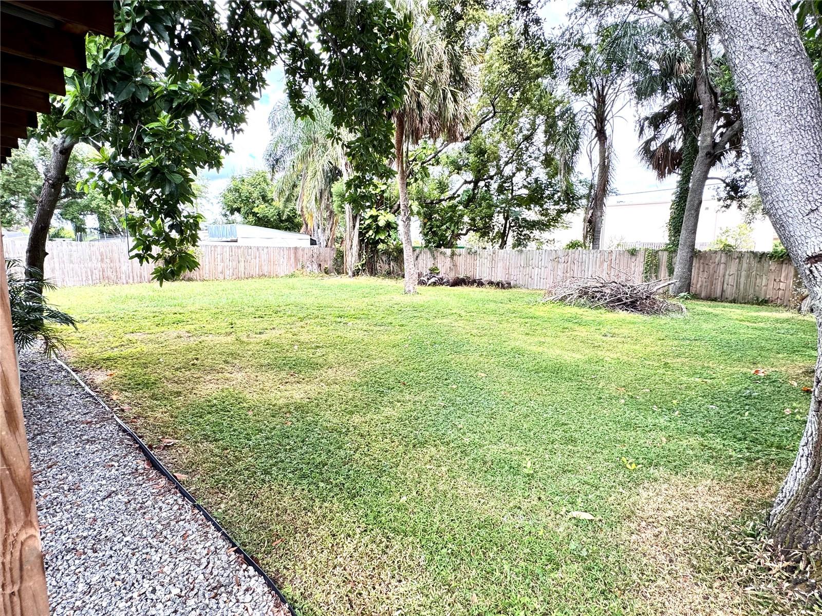 back yard