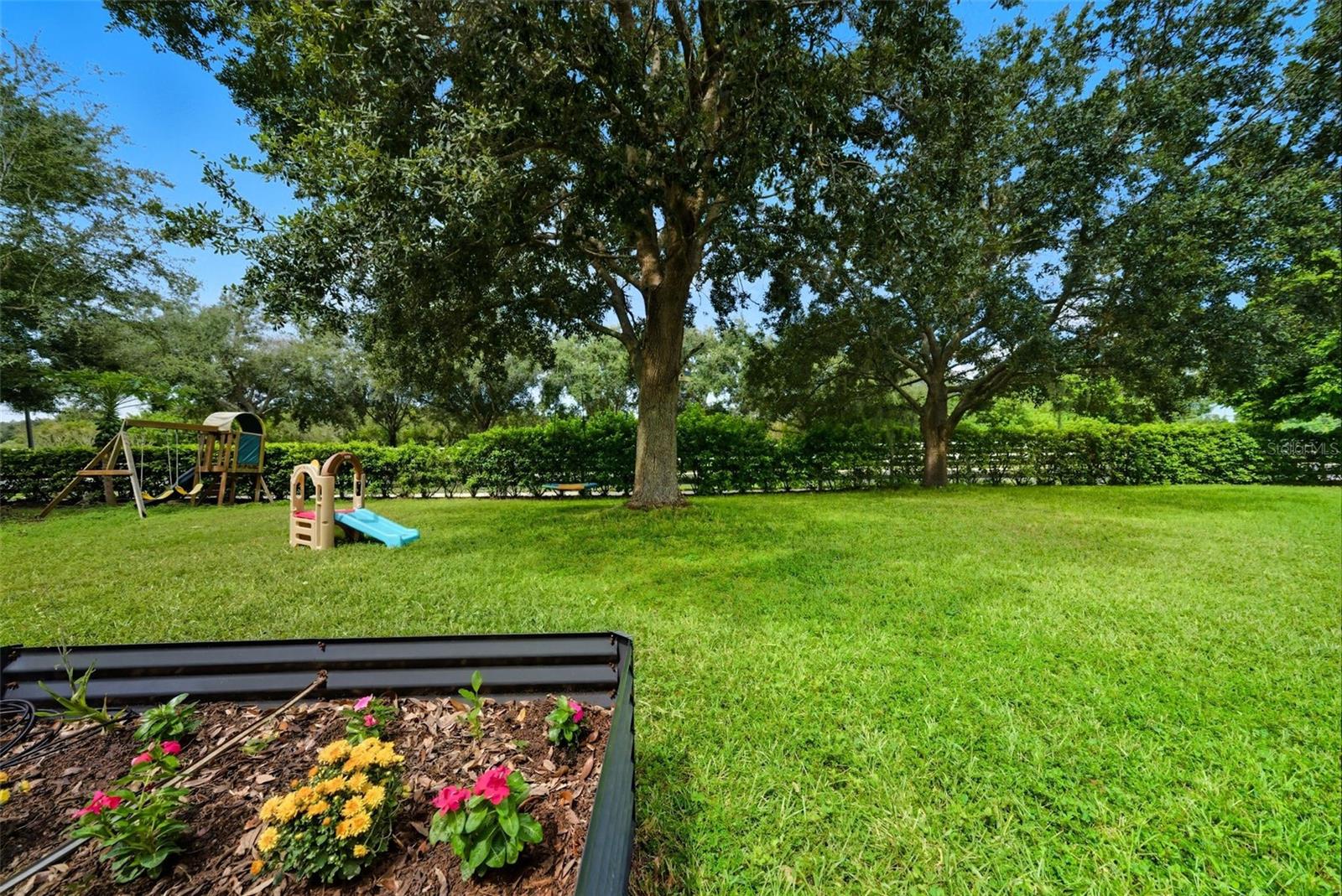 Spacious backyard with no rear neighbors