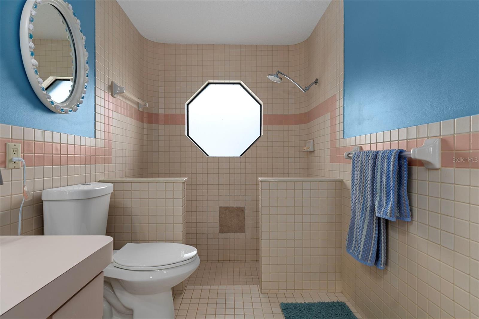 Notice the Newer Toilet and step-in shower