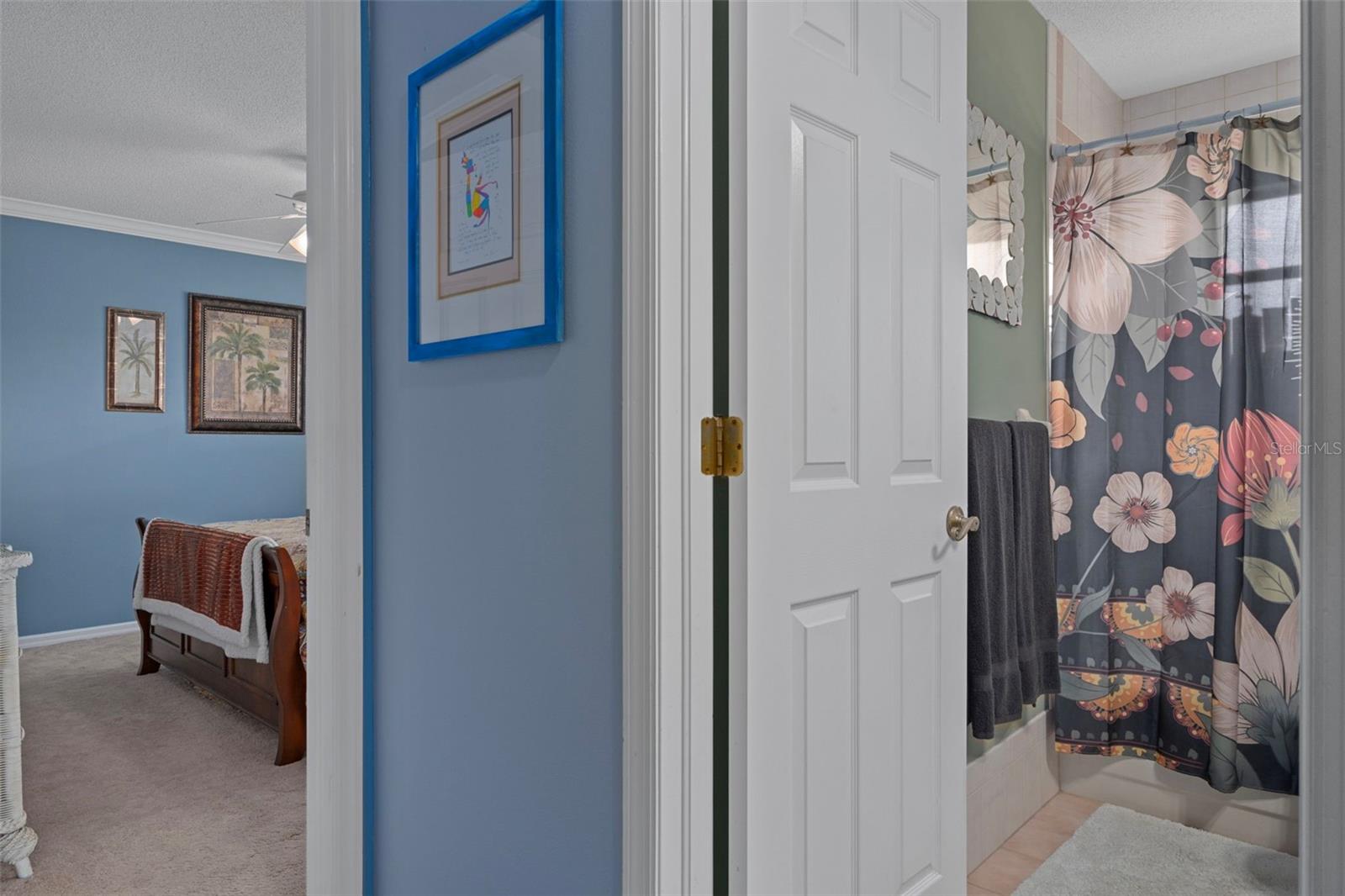View of the Guest Bedroom and guest bathroom