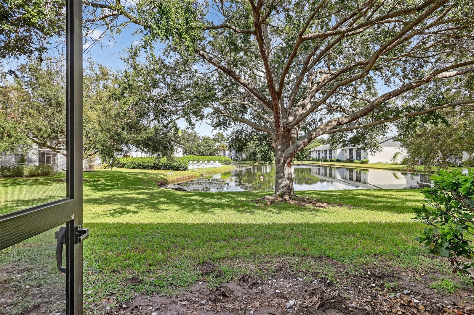 Pond View