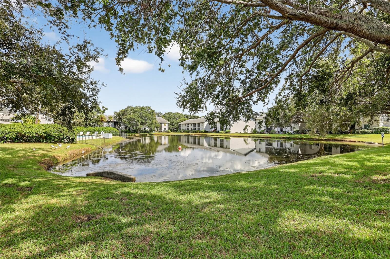 Beautiful Pond View