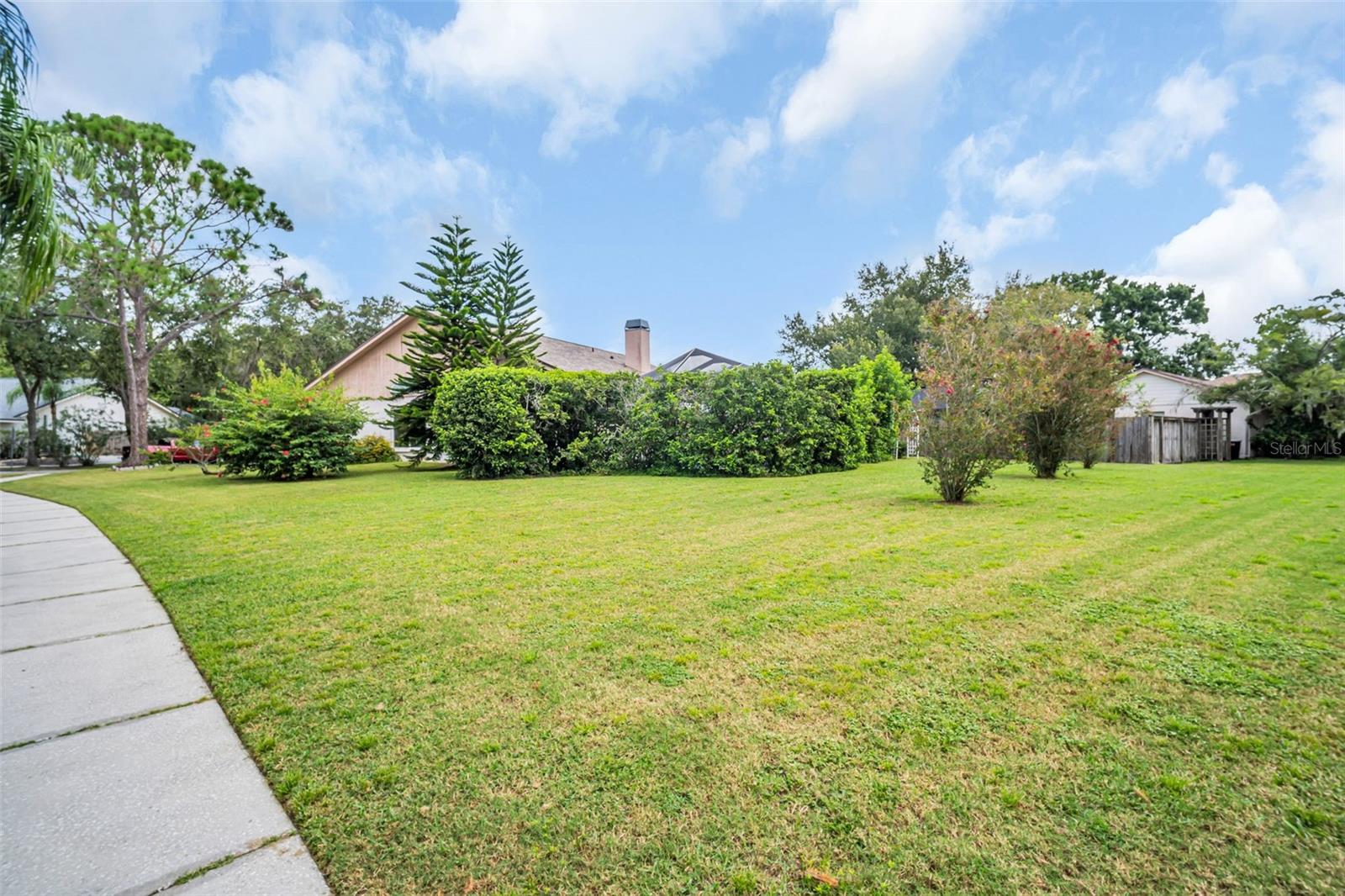Large yard on just over 1/4 acre