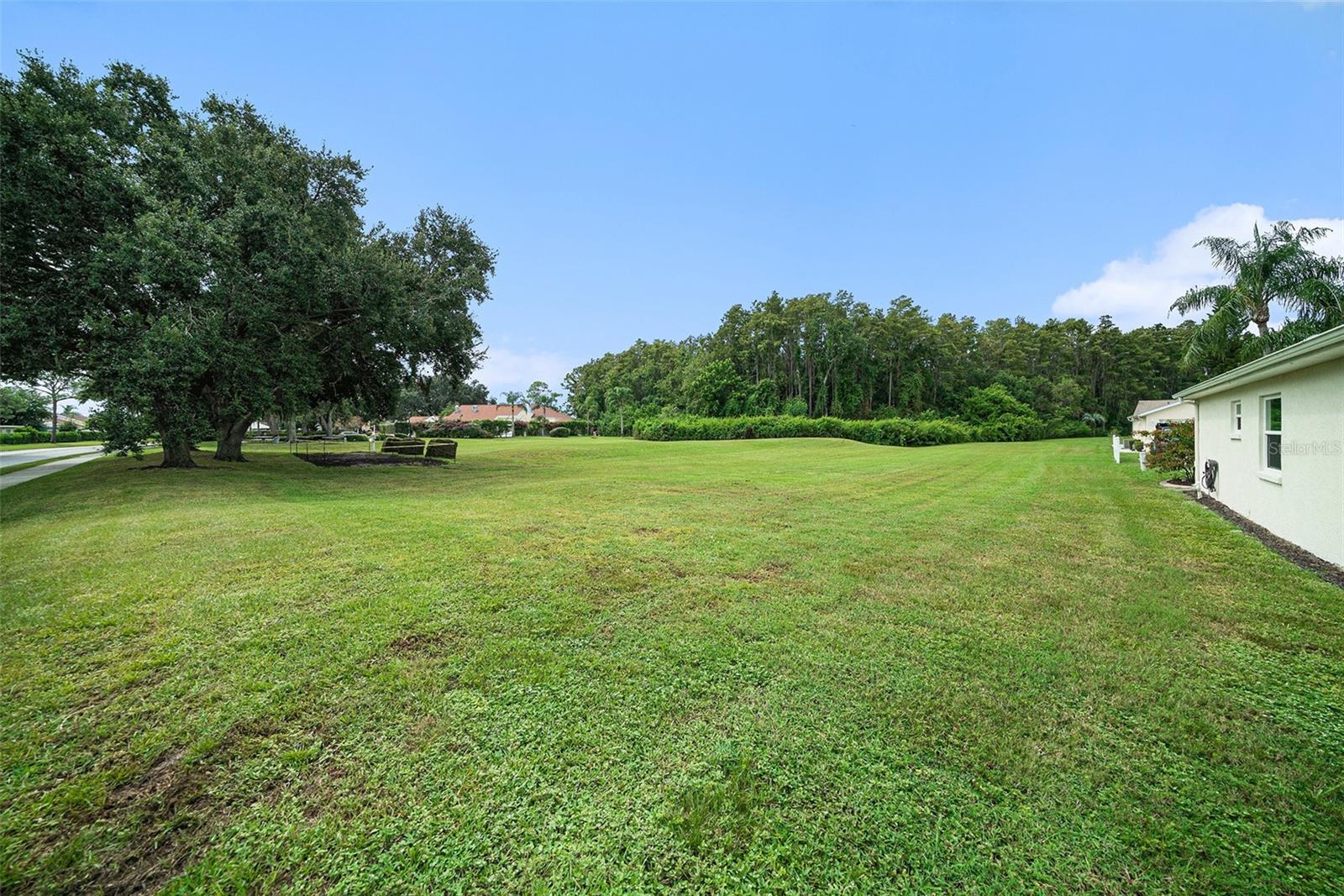 Side Open Field