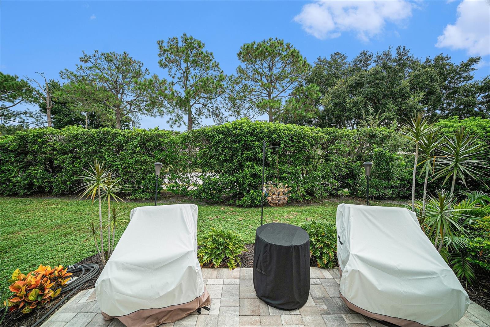Back Patio