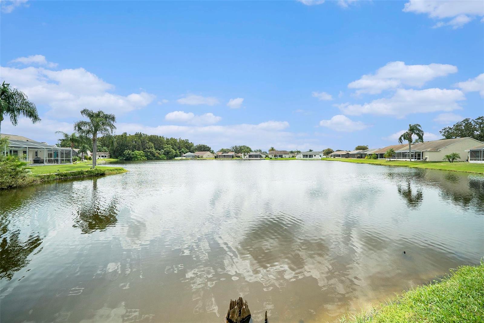 Community Pond