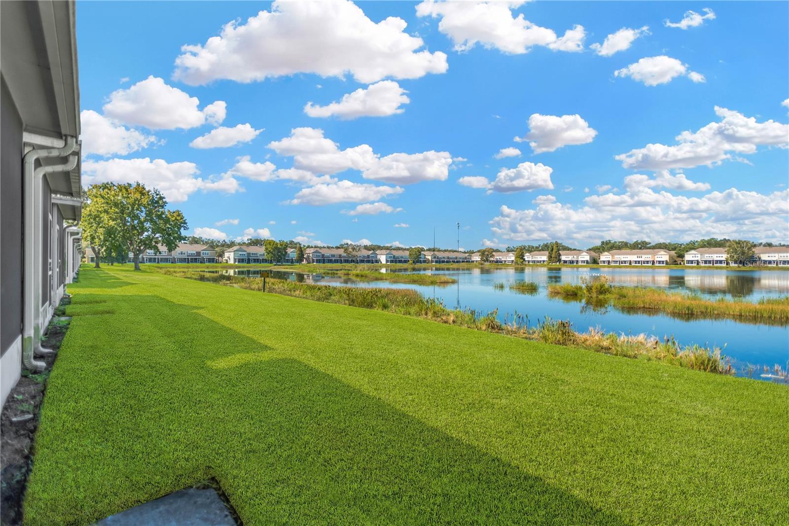 Endless pond views