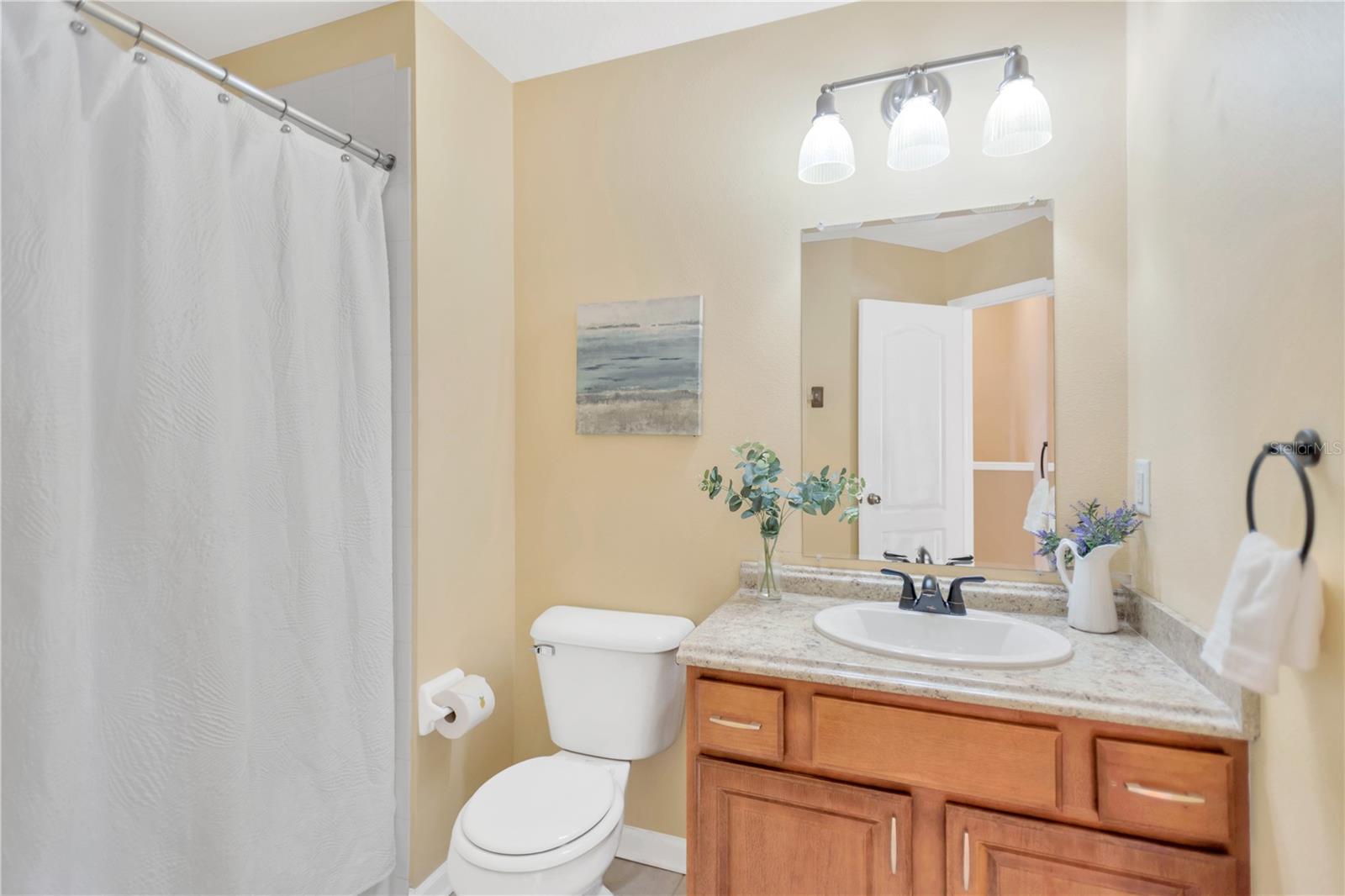 Guest bathroom