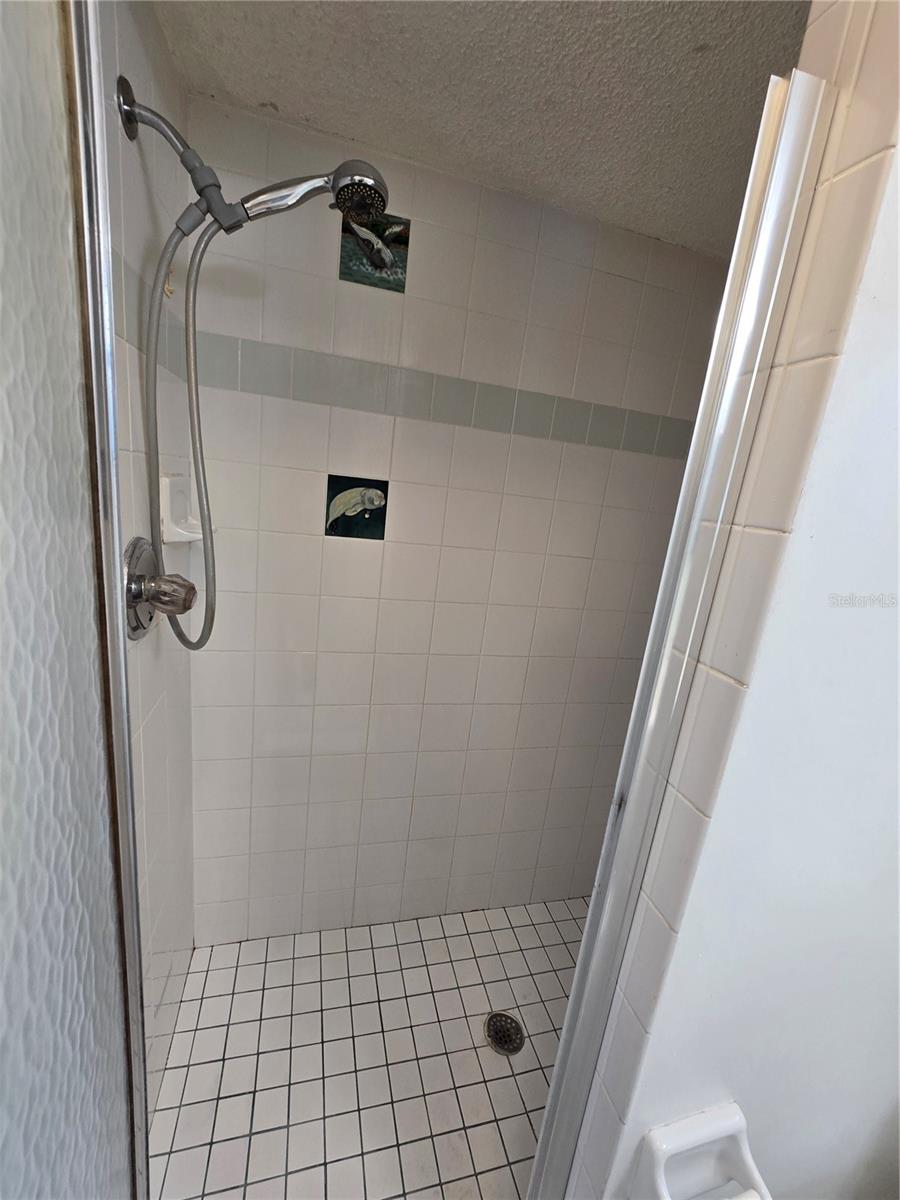 Ensuite Primary bath with walk-in shower