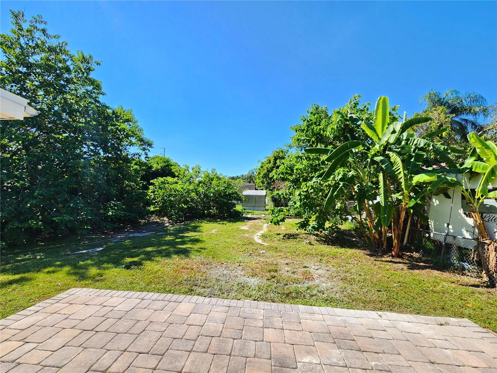 Rear Yard