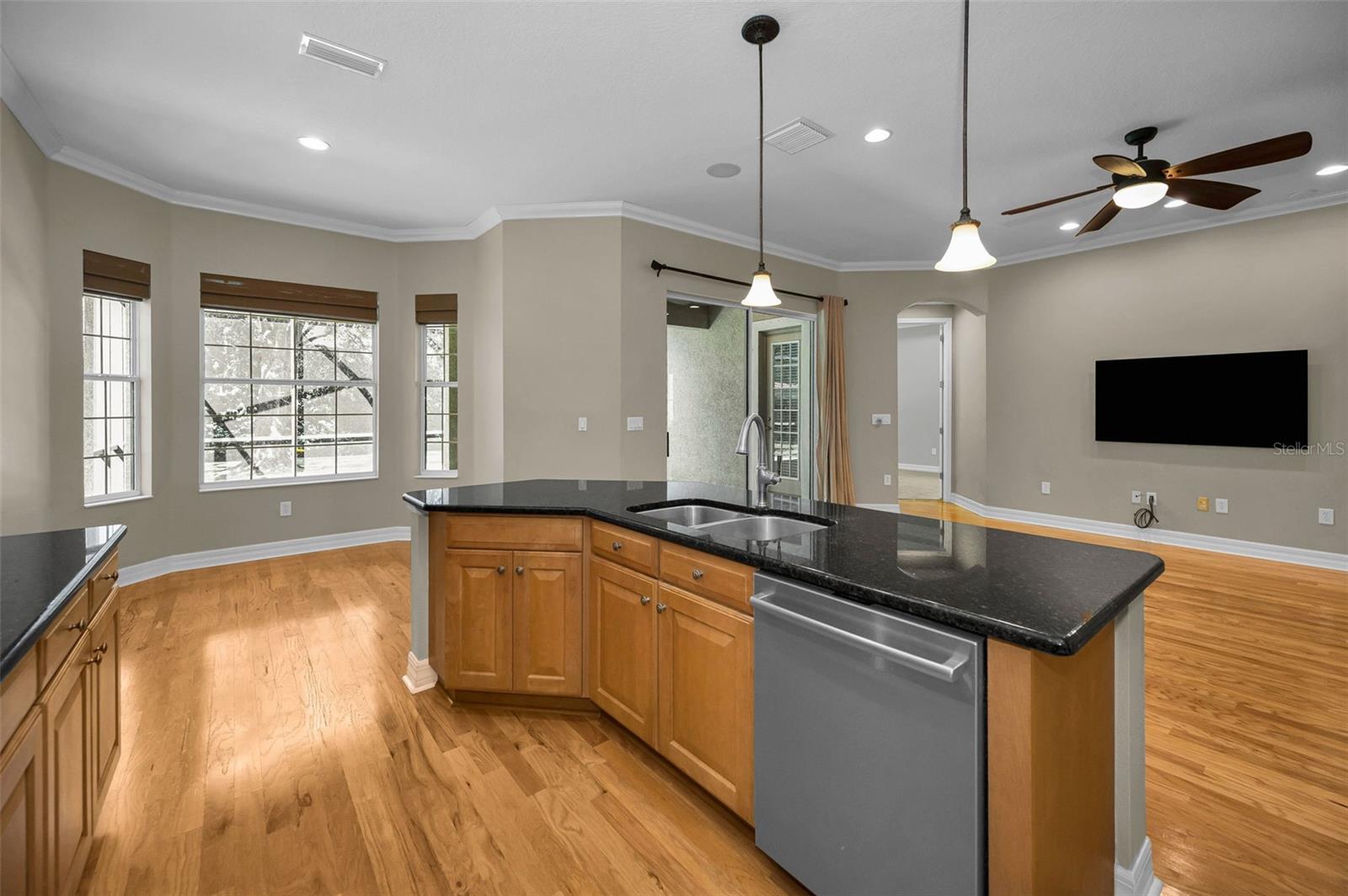 Newer Bosch dishwasher