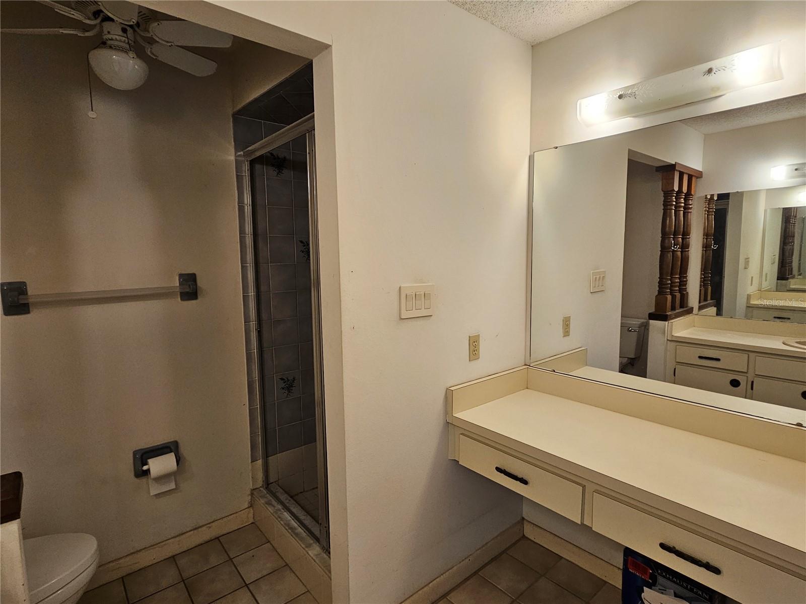 Primary Bath Separate Vanity