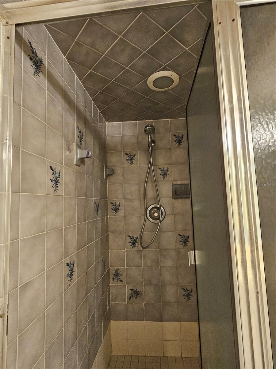 Primary Bathroom Shower