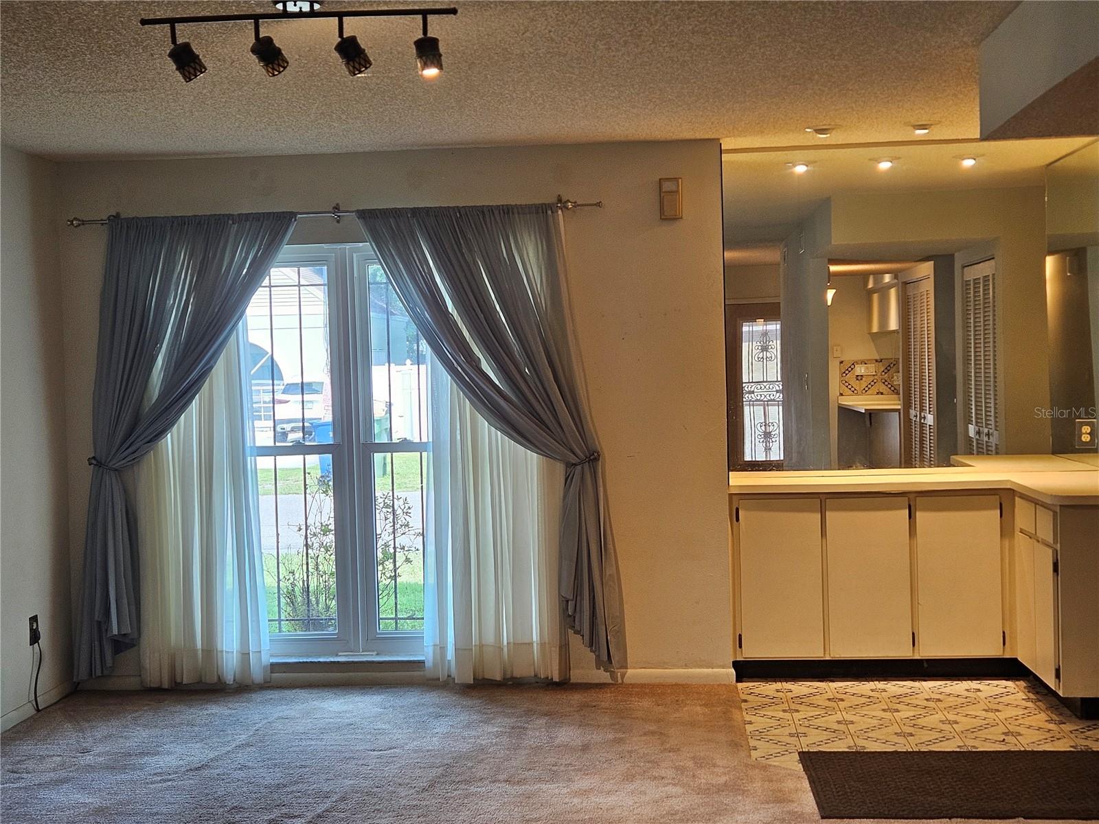 Living Area w/Dry Bar Area