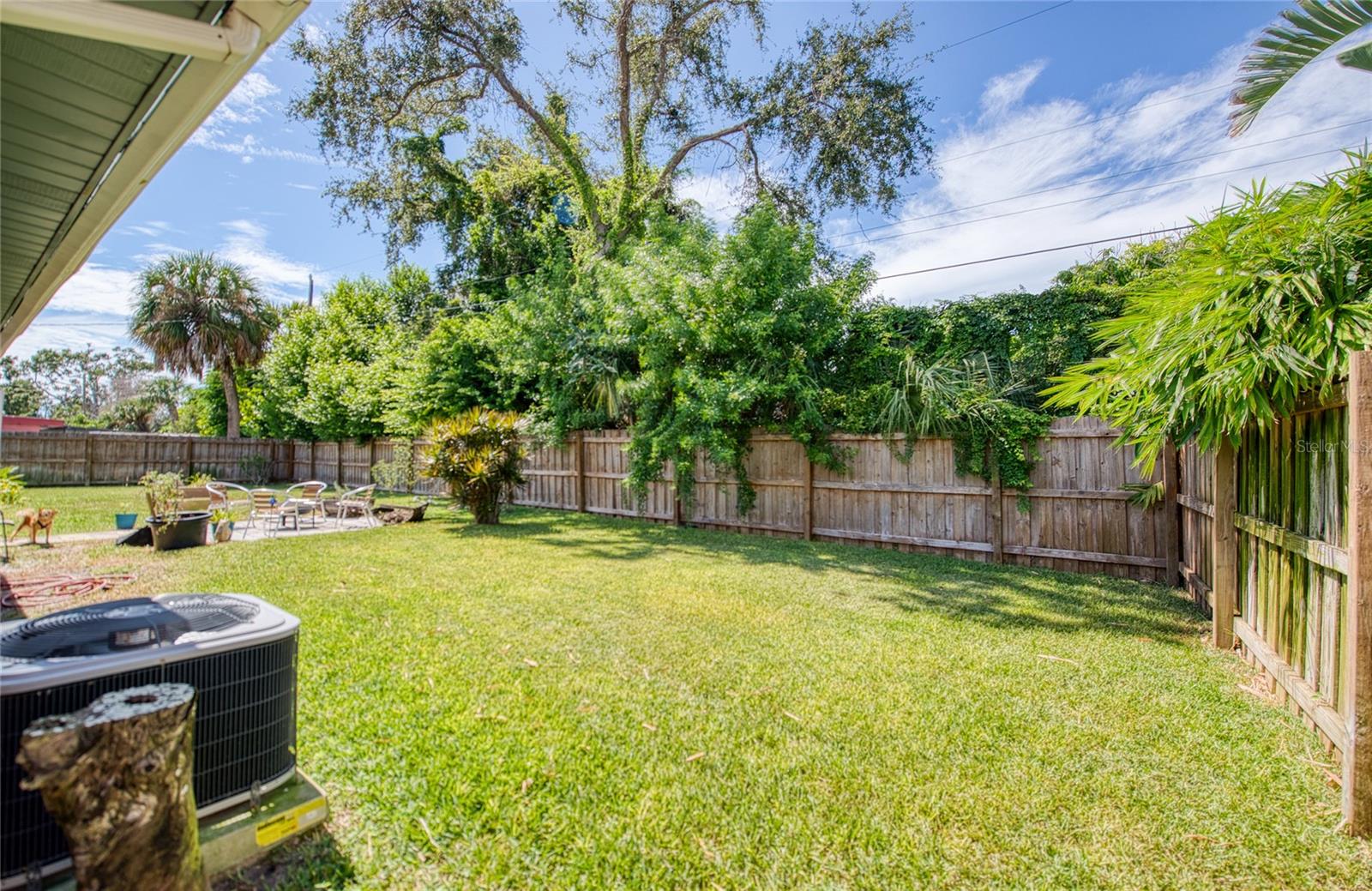 Large back yard plenty of room for a pool and your fur family members