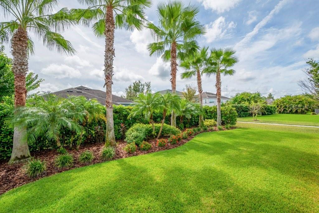 TROPICAL LANDSCAPE