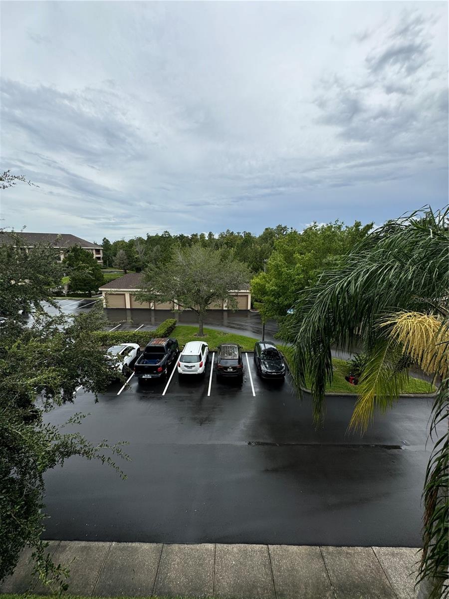 Balcony View