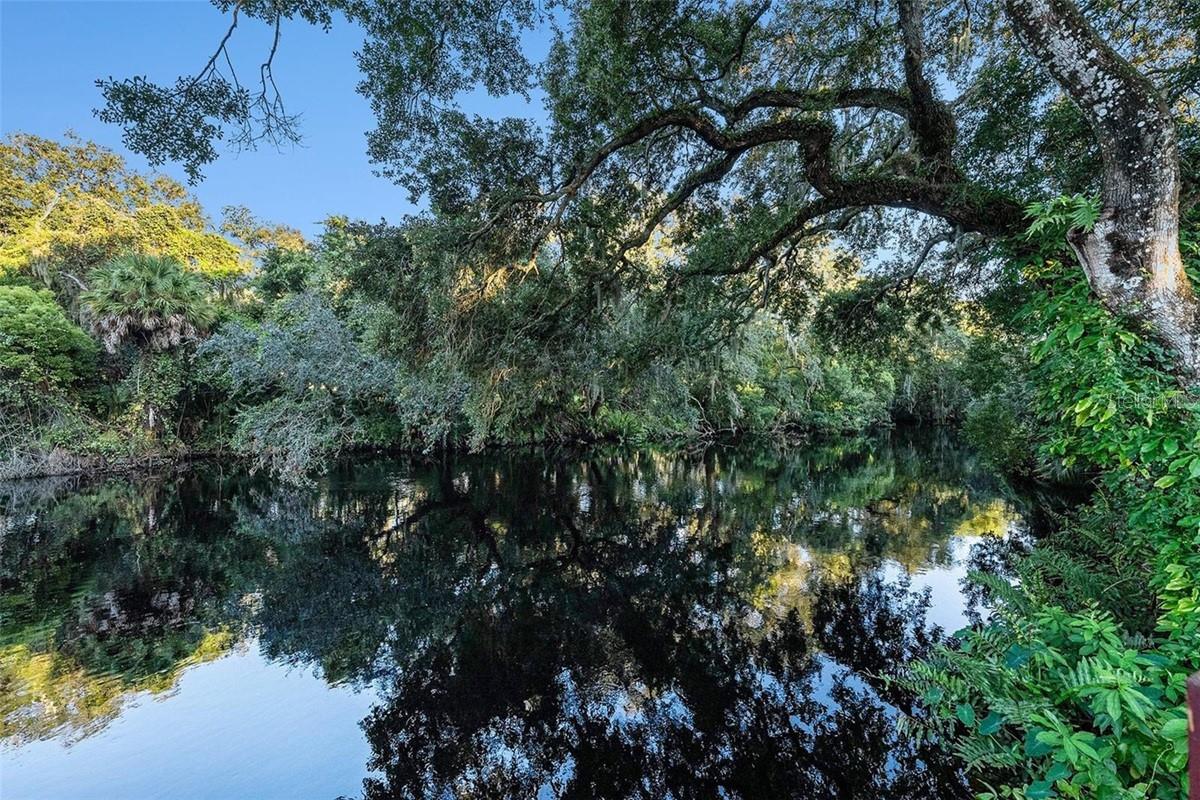 HILLS RIVER 1