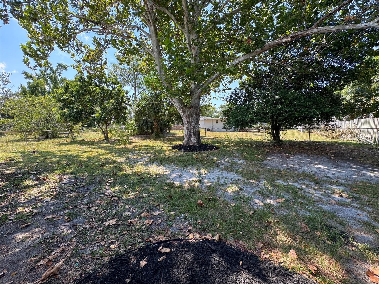 Backyard