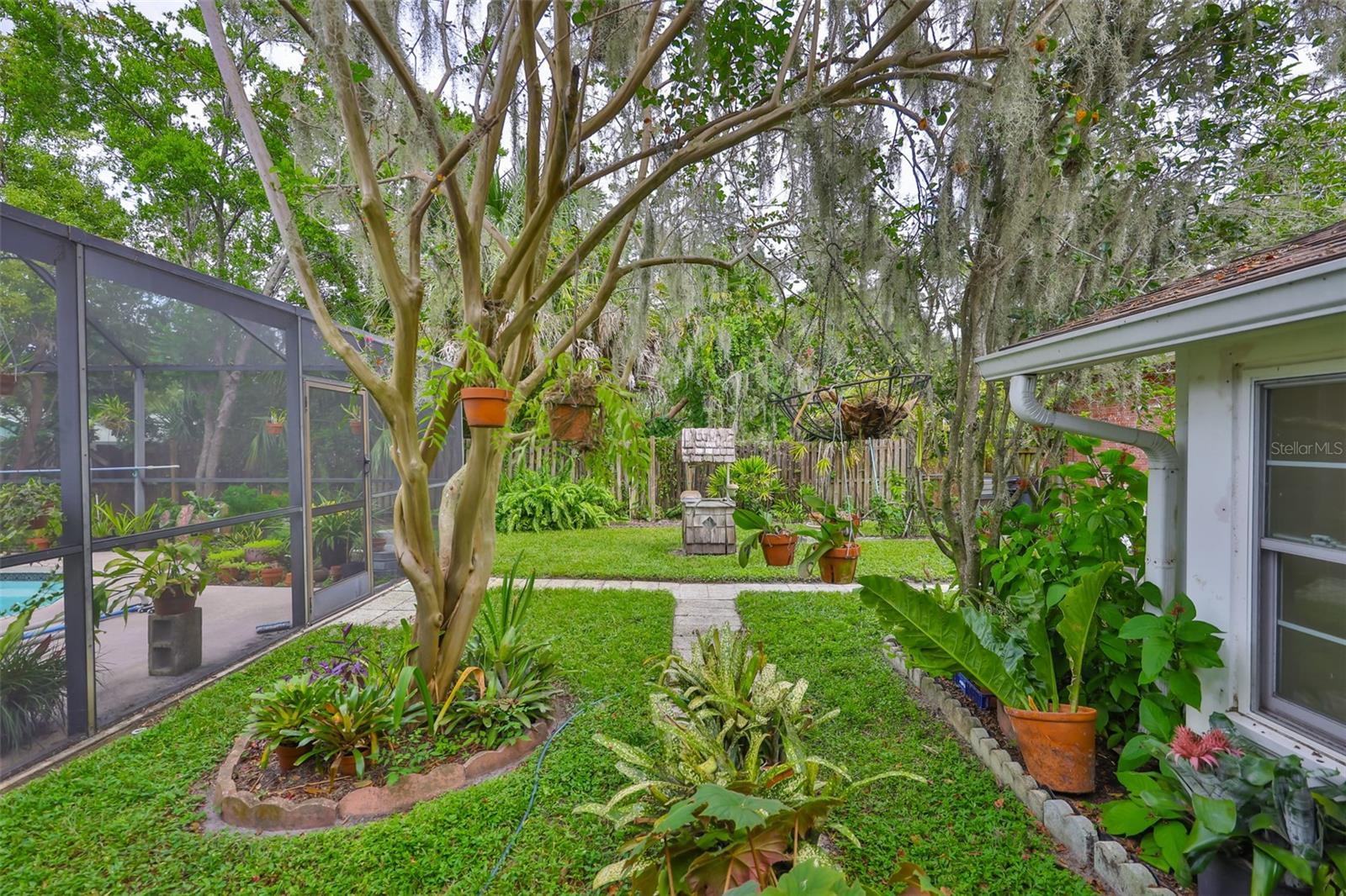 Backyard Oasis