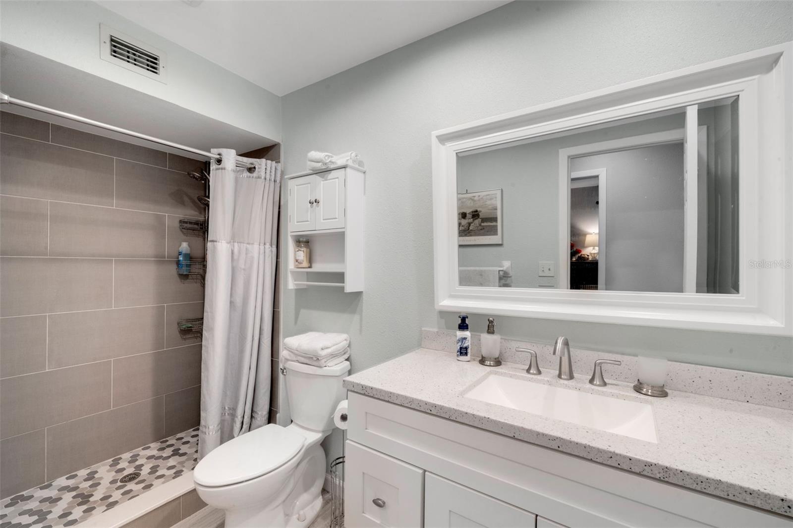 Completely updated Guest bath