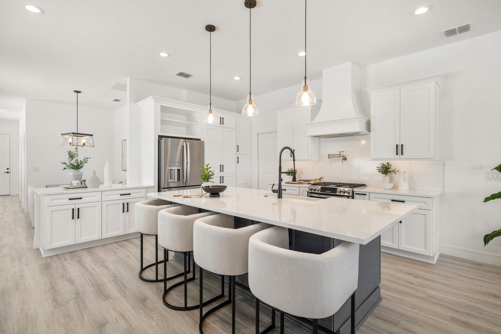 Elegant Kitchen