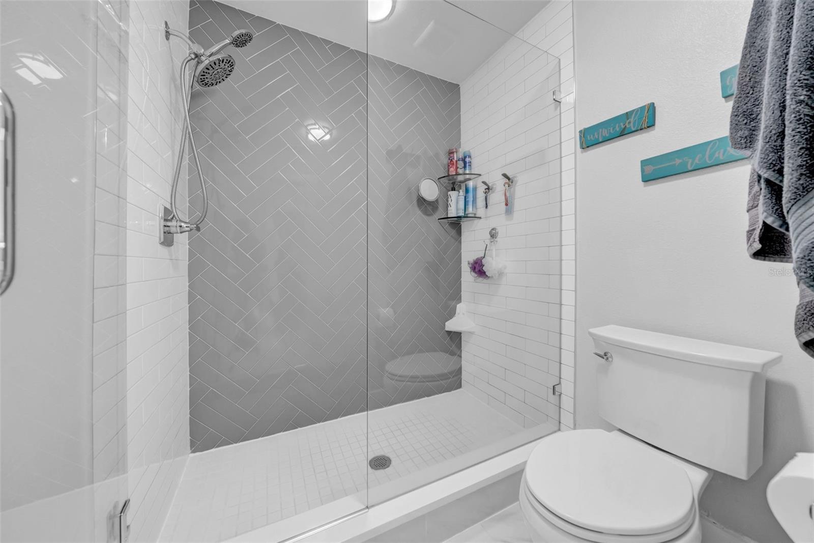 Primary Walk-in Shower