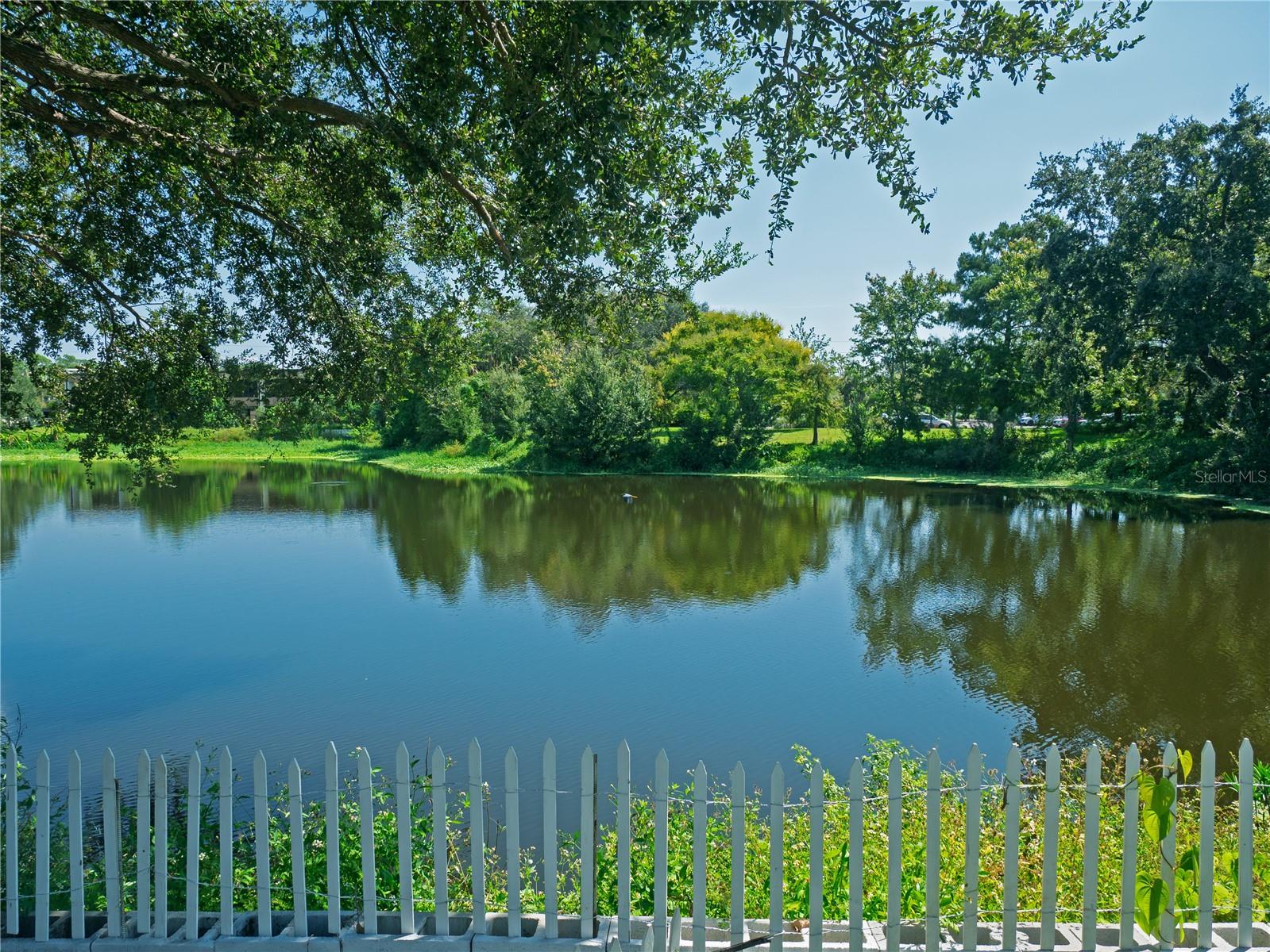 Water View from Backyard