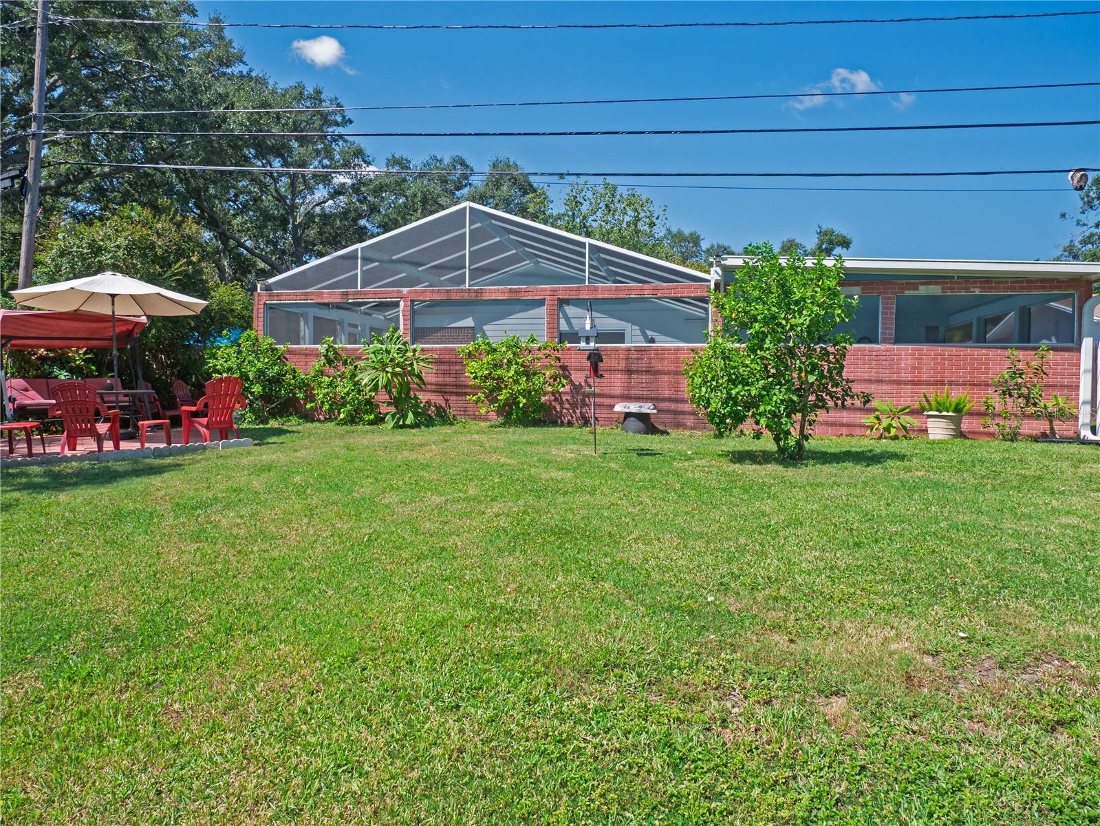 Backyard