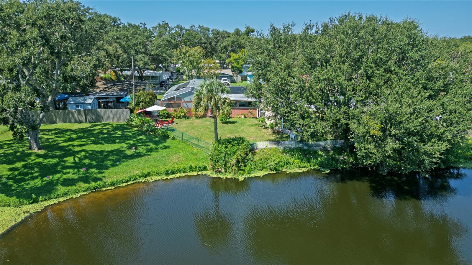 Backyard + Water