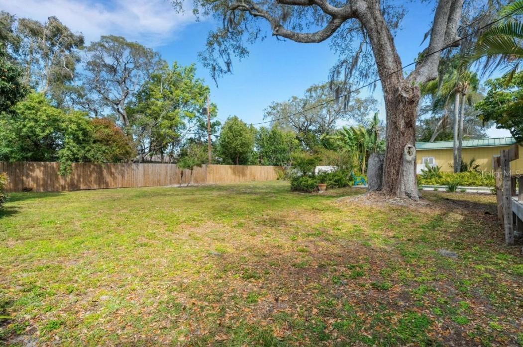 BACK YARD