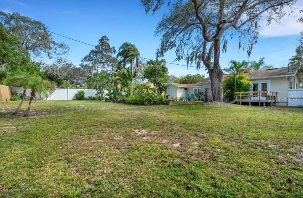 BACK YARD