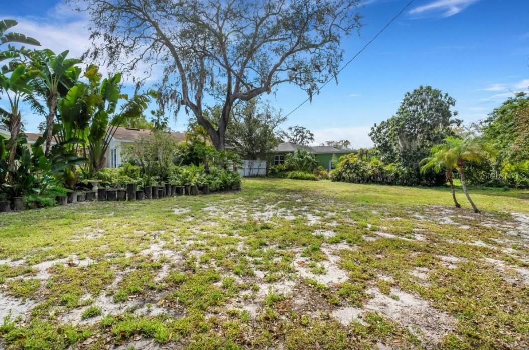 BACK YARD