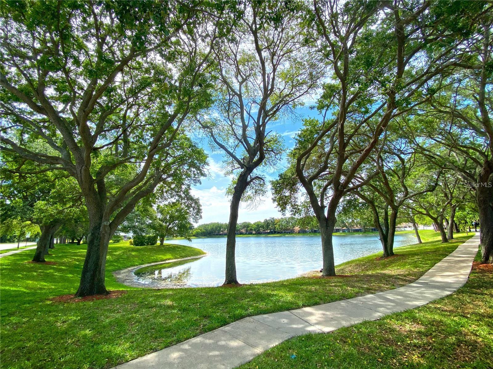 Sidewalks in neighborhood