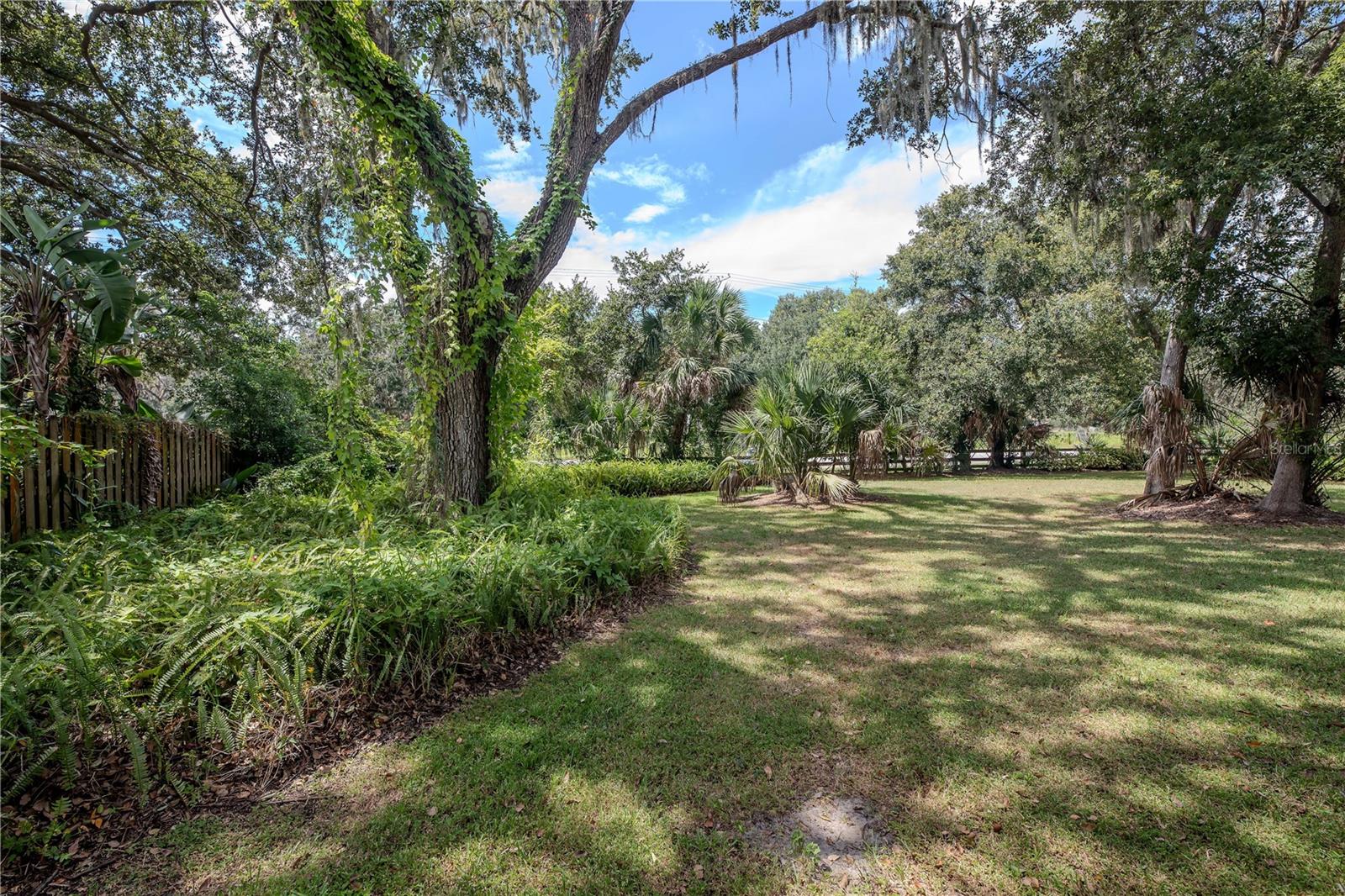 Backyard
