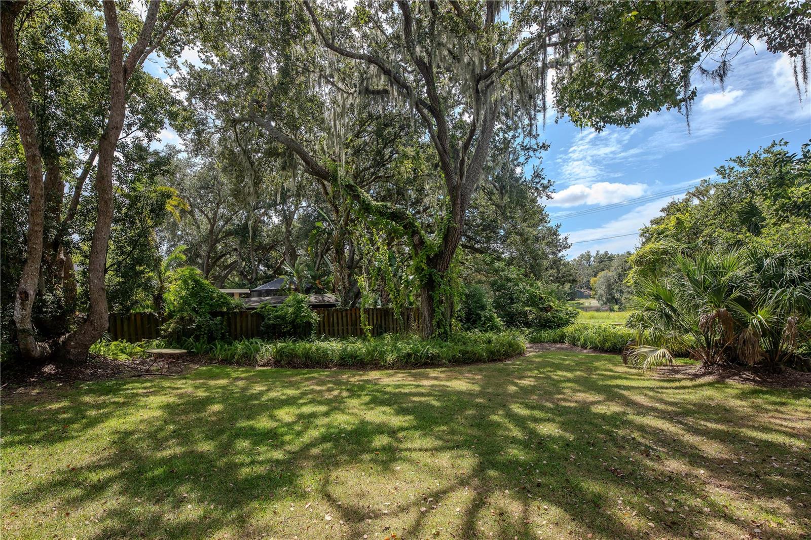 Backyard