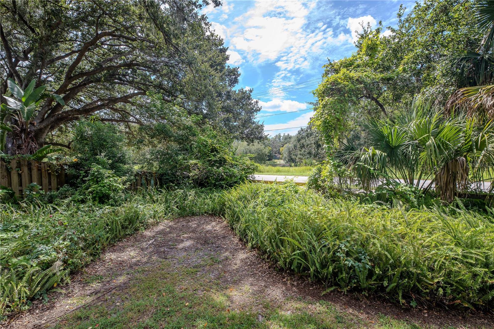 Backyard