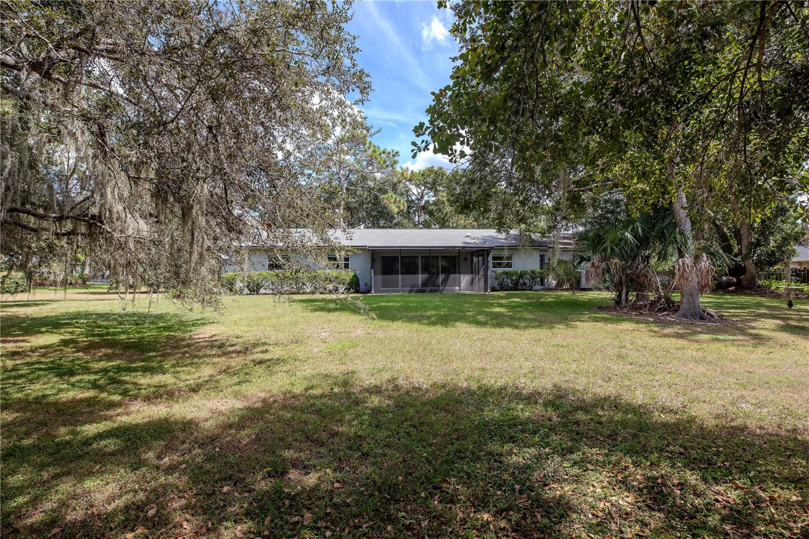 Backyard & Back of Home