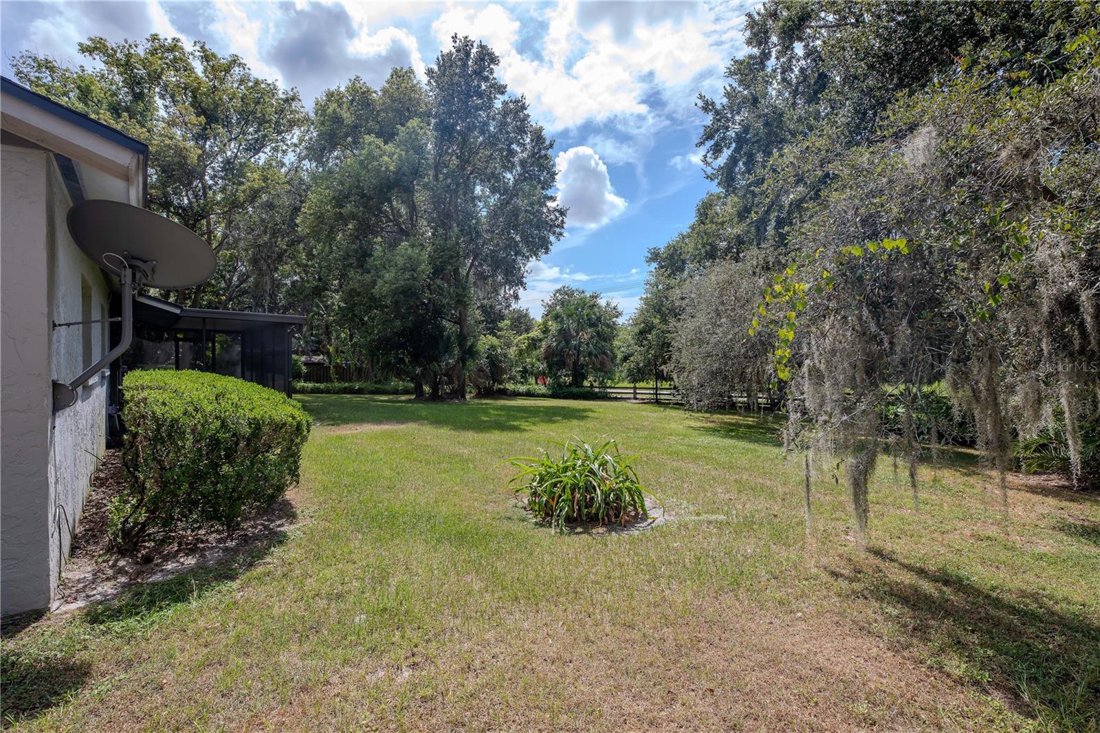 Backyard & Back of Home