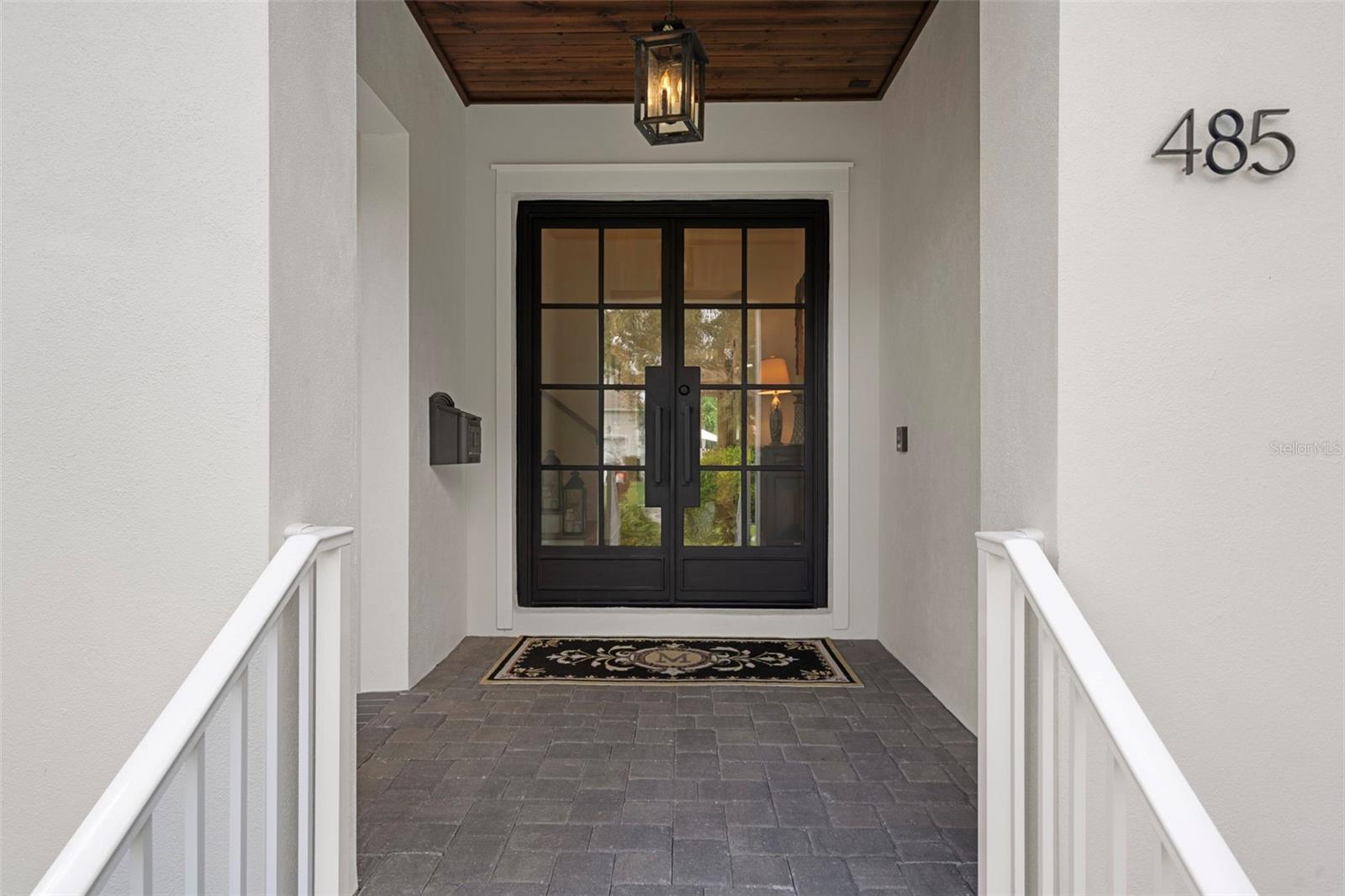 Handcrafted custom double iron & glass doors